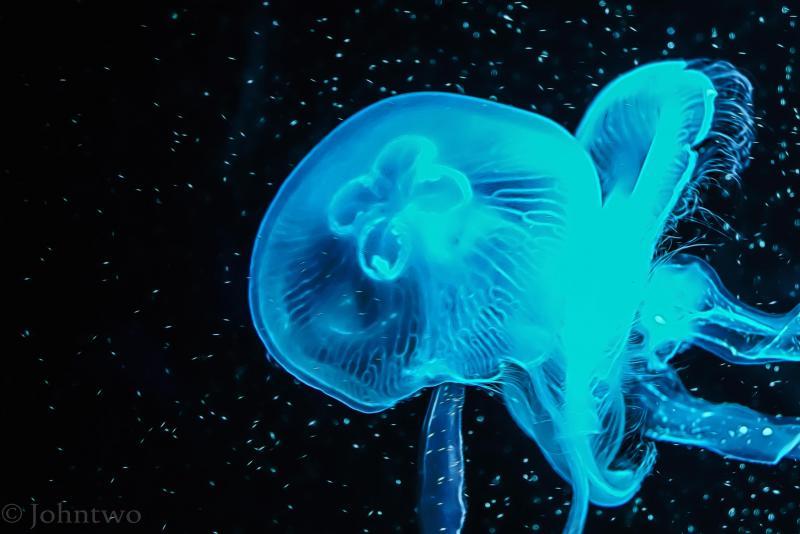 post-242846-0-41575000-1448352920_thumb.