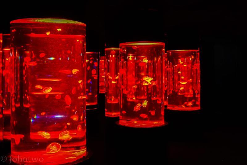 post-242846-0-57885200-1448352873_thumb.