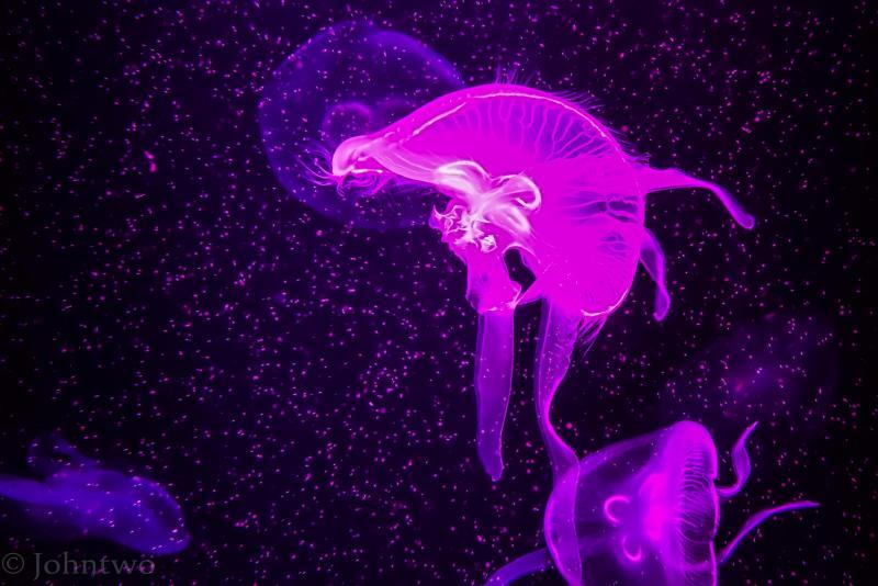 post-242846-0-69342100-1448352933_thumb.