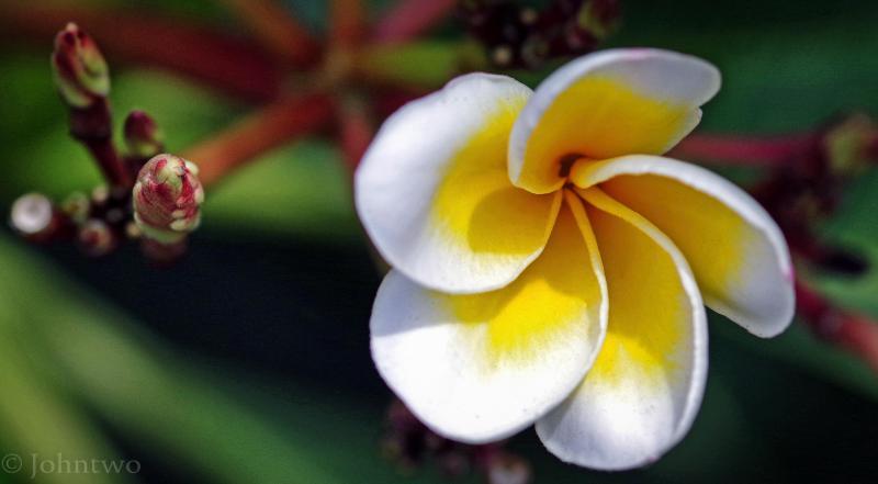 post-242846-0-74142900-1448398151_thumb.