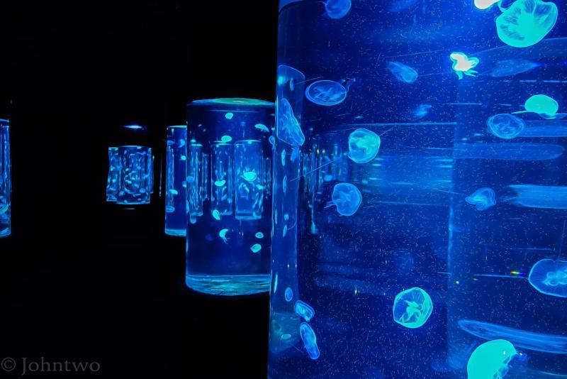 post-242846-0-80169100-1448352894_thumb.