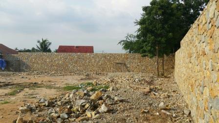 post-243671-0-66834700-1448209559_thumb.