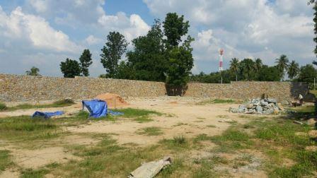 post-243671-0-96645400-1448209570_thumb.