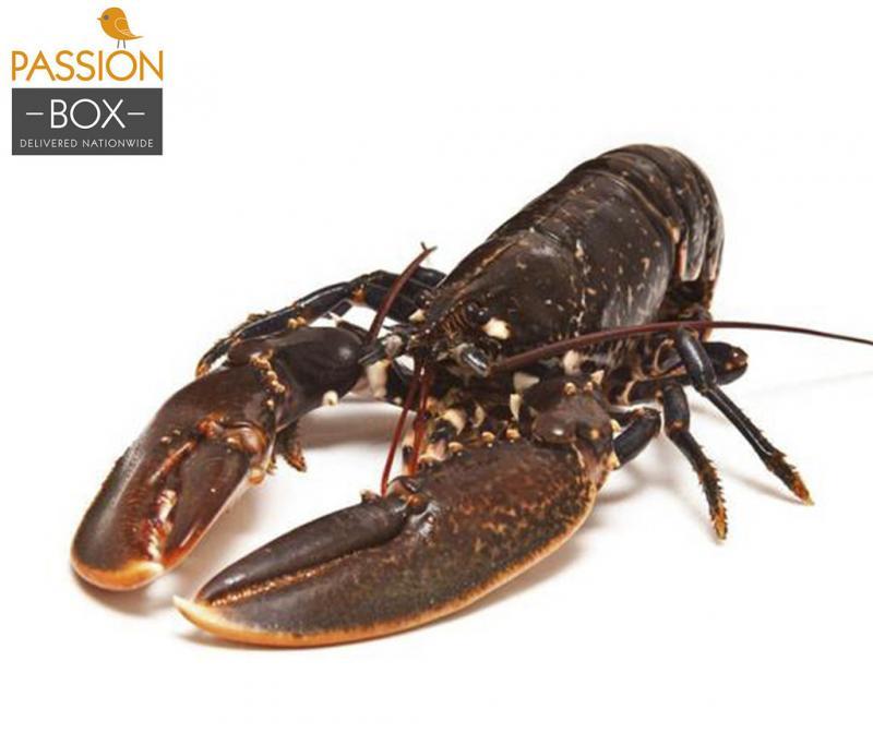 post-244103-0-27888800-1447729828_thumb.