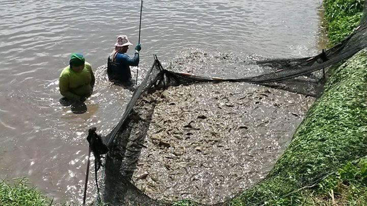 post-42398-0-33231300-1447421485_thumb.j