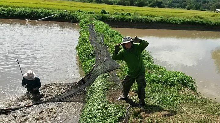 post-42398-0-83007900-1447421520_thumb.j