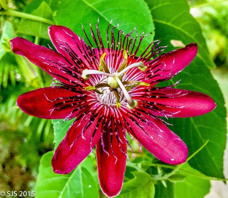 post-52121-0-05382800-1448163065_thumb.j