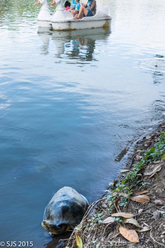 post-52121-0-21860600-1447489939_thumb.j