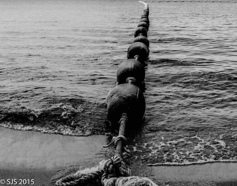 post-52121-0-22613700-1448368252_thumb.j