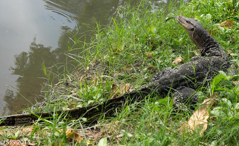 post-52121-0-66189400-1447392190_thumb.j