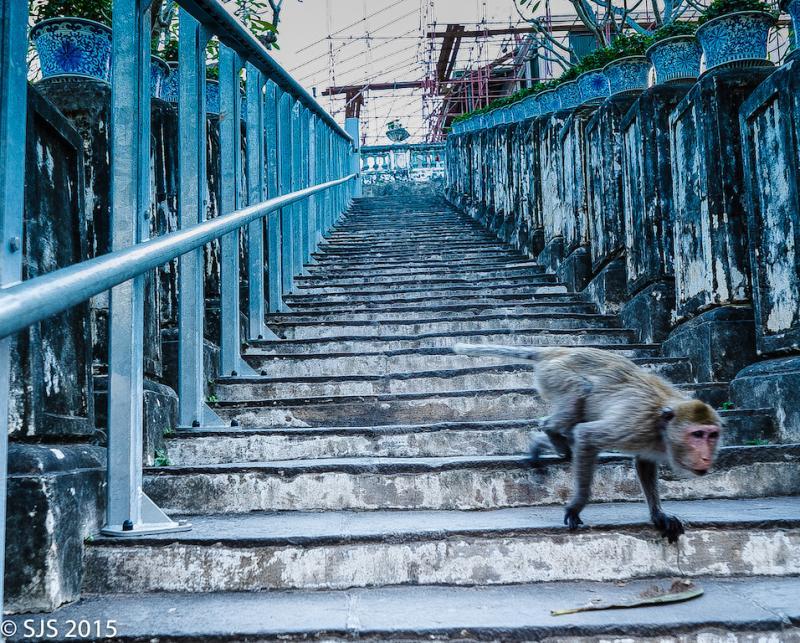 post-52121-0-89079500-1448808306_thumb.j