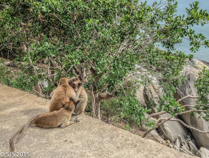 post-52121-0-96750600-1447639378_thumb.j