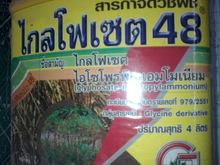 post-62606-0-16197100-1448367505_thumb.j