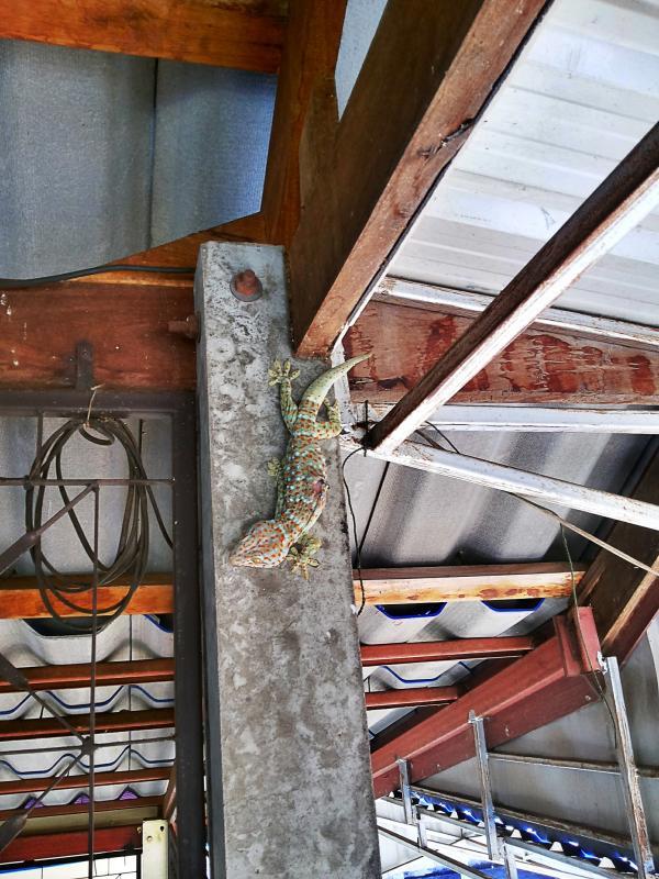 post-68260-0-63333300-1447419540_thumb.j