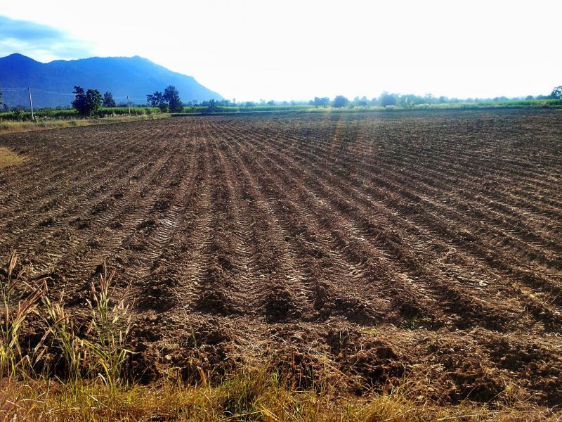 post-68260-0-65581800-1448242169_thumb.j