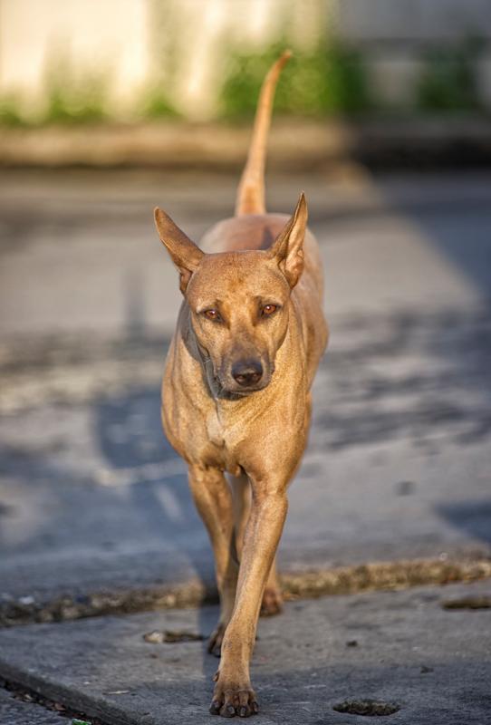 post-93078-0-26921900-1446429882_thumb.j