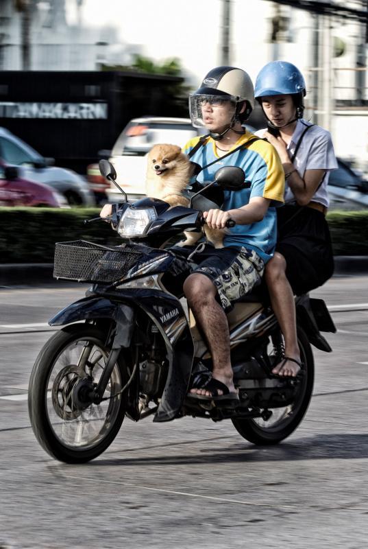 post-93078-0-76350700-1447835735_thumb.j