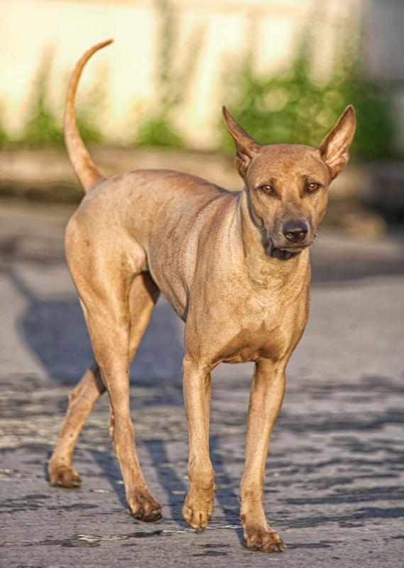 post-93078-0-88929100-1446429860_thumb.j