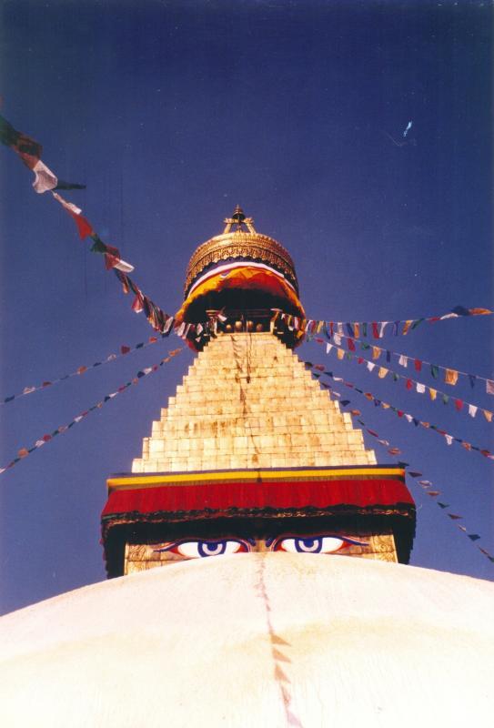 post-94399-0-72501600-1446868501_thumb.j