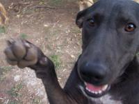 post-1514-1167581634_thumb.jpg
