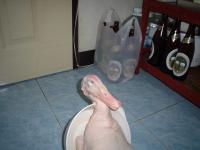 post-26634-1167036163_thumb.jpg