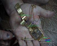 post-15964-1197543122_thumb.jpg