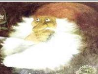 post-53941-1230119332_thumb.jpg