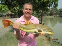 post-110955-0-02968600-1293331529_thumb.