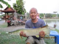 post-110955-0-03438700-1293332000_thumb.