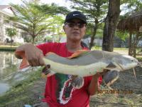 post-110955-0-08813900-1293724820_thumb.