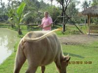 post-110955-0-09265200-1293331283_thumb.