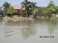 post-110955-0-31799500-1293724619_thumb.