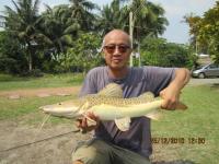 post-110955-0-35162100-1293331897_thumb.