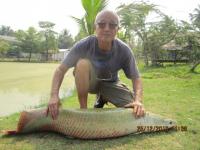 post-110955-0-35241400-1293331866_thumb.