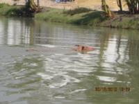 post-110955-0-35312400-1293724644_thumb.