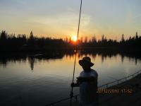 post-110955-0-39300600-1293078777_thumb.