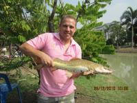 post-110955-0-49162600-1293331644_thumb.