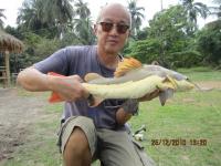 post-110955-0-54191300-1293331947_thumb.