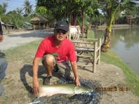 post-110955-0-58464500-1293724781_thumb.