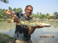 post-110955-0-63610800-1293724835_thumb.