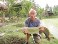 post-110955-0-72989500-1293331979_thumb.