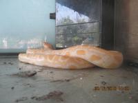 post-110955-0-76412300-1293724705_thumb.