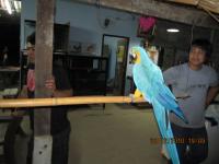 post-110955-0-78817600-1293331268_thumb.