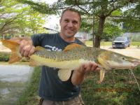 post-110955-0-80667200-1293724863_thumb.