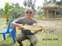 post-110955-0-88089000-1293331926_thumb.