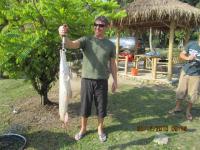 post-110955-0-92402500-1293724807_thumb.