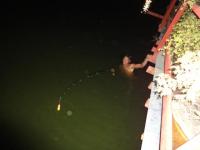 post-110955-0-95517000-1291719957_thumb.