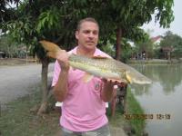 post-110955-0-98740900-1293331504_thumb.