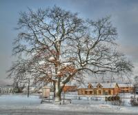 post-118262-0-16861300-1293208482_thumb.