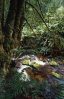 post-118262-0-29999400-1292755201_thumb.